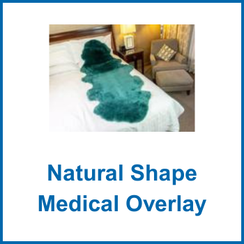 Natural Shape Medical Overlay
